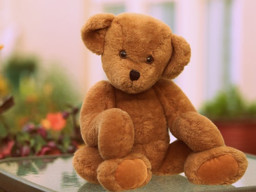 The strange and bloody story of Teddy Bear. It’s not a picnic.