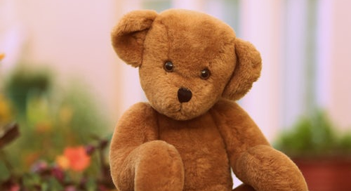 The strange and bloody story of Teddy Bear. It’s not a picnic.