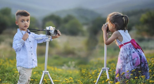 They’re over there taking photographs in their garden