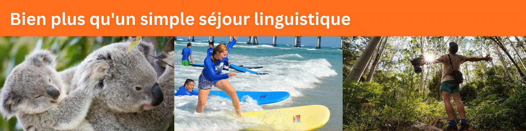 Bien plus qu'un simple séjour linguistique