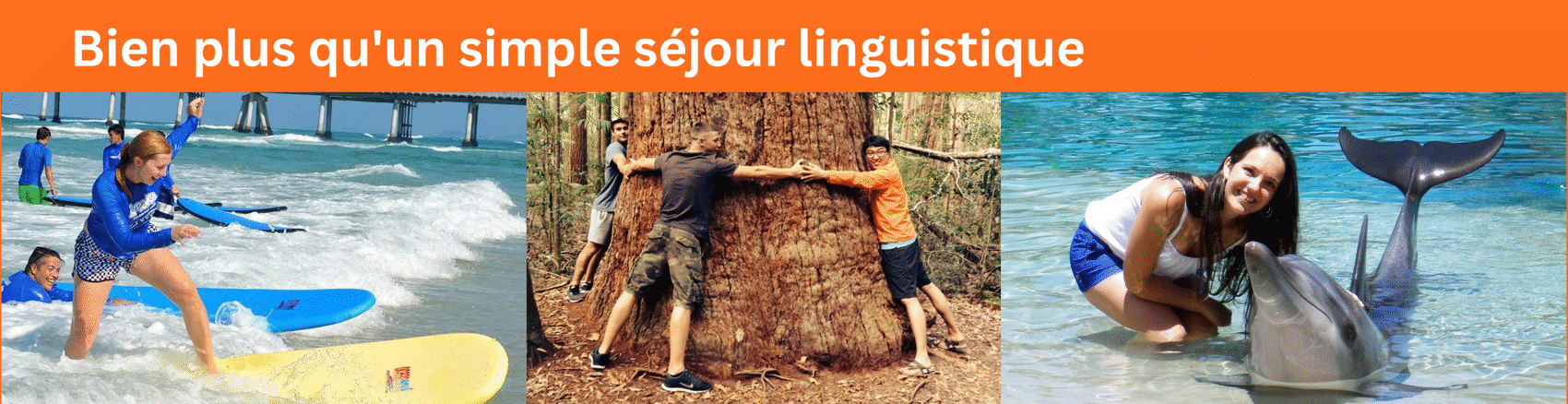 Bien plus qu'un simple séjour linguistique