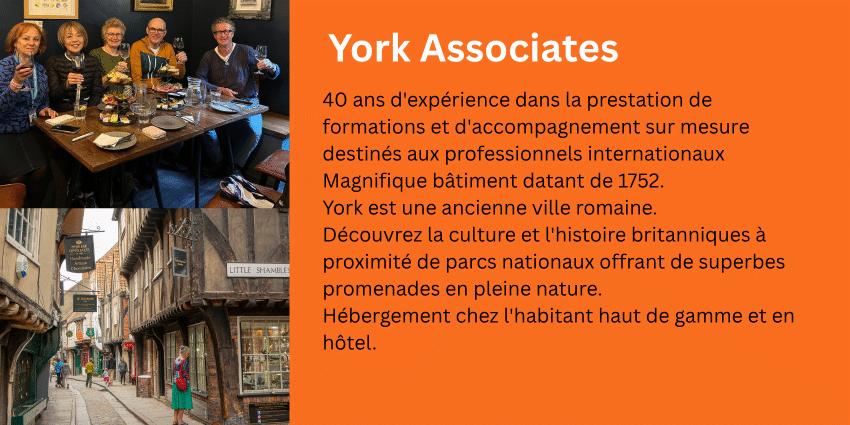 York Associates