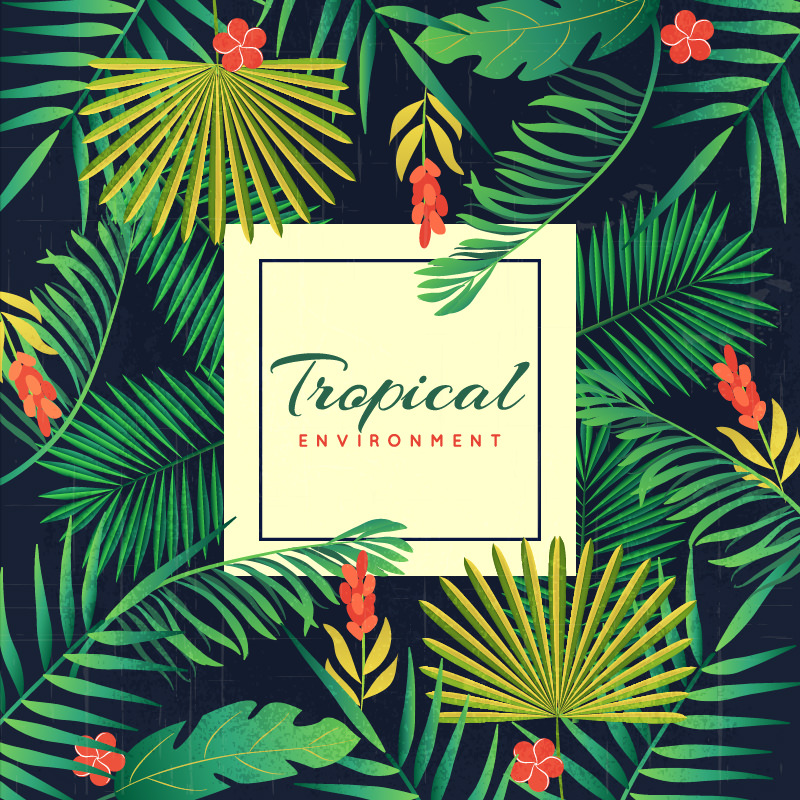 Tropical environment