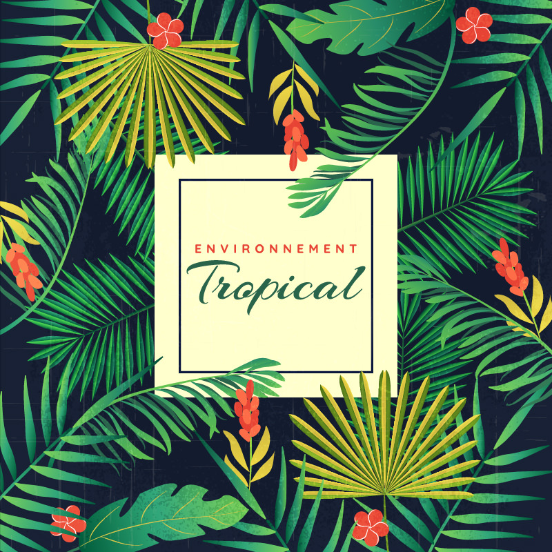 environnement tropical